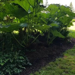 Agder Natural History Museum and Botanical Garden - Grimstad