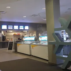 Ankerskogen Park - Hamar