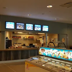 Ankerskogen Park - Hamar