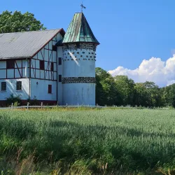 Hamar Art Gallery (Galleri F15) - Hamar