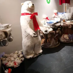 Northern Lights Viewing Spots - Hammerfest