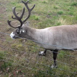 Sami Cultural Center - Hammerfest