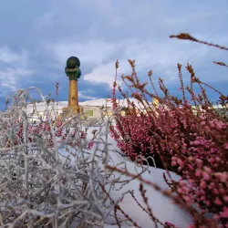 The Meridian Column - Hammerfest