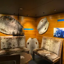 The Polar Bear Society (Isbjørnklubben) - Hammerfest