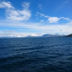 Harstad Kulturhus (Harstad Cultural Center) - Harstad
