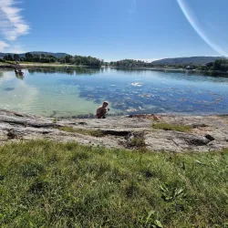 Sørvik Beach - Harstad