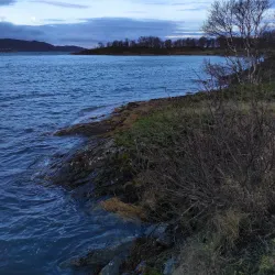 Sørvik Beach - Harstad