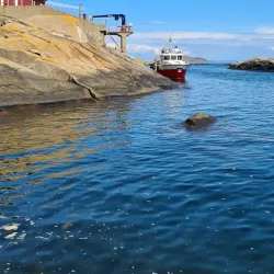 Færder Lighthouse - Holmestrand