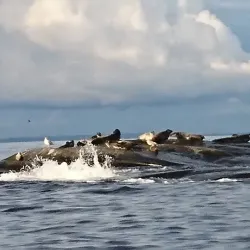 Færder Lighthouse - Holmestrand