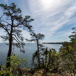 Holmestrand Coastal Trail - Holmestrand