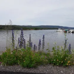 Holmestrand Coastal Trail - Holmestrand