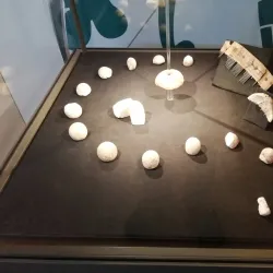 Hønefoss Cultural Center - Honefoss