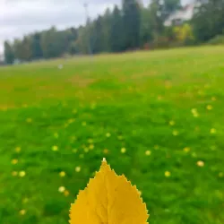 Hønefossen Waterfall - Honefoss