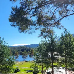 Ringerike Golf Club - Honefoss