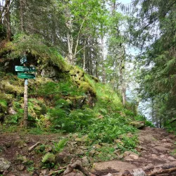 Ringerike Hiking Trails - Honefoss