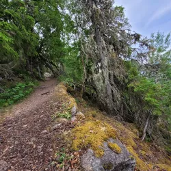 Ringerike Hiking Trails - Honefoss