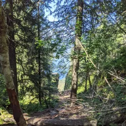 Ringerike Hiking Trails - Honefoss