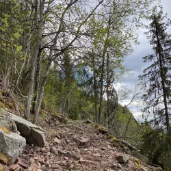 Ringerike Hiking Trails - Honefoss