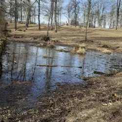 Borre National Park - Horten