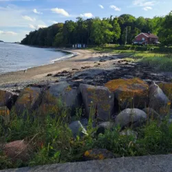 Oslofjord Beach - Horten