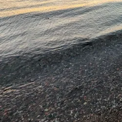 Oslofjord Beach - Horten