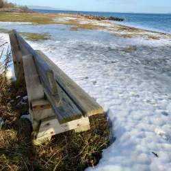 Oslofjord Beach - Horten