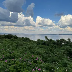 Oslofjord Beach - Horten