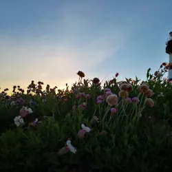 Feistein Lighthouse - Karmøy