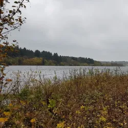 Hålandsvatnet Nature Reserve - Karmøy