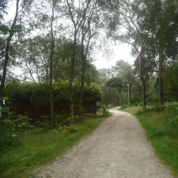 Hålandsvatnet Nature Reserve - Karmøy