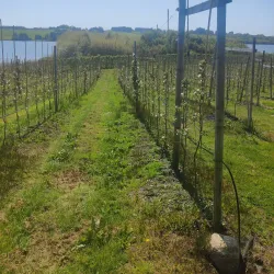 Hålandsvatnet Nature Reserve - Karmøy