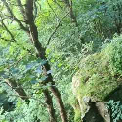 Hålandsvatnet Nature Reserve - Karmøy