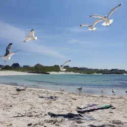 Åkrasanden Beach - Karmøy