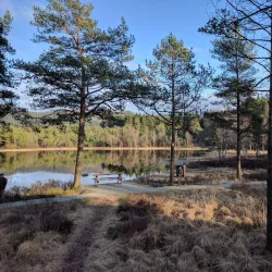 Rogaland Arboretum - Karmøy