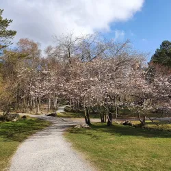 Rogaland Arboretum - Karmøy