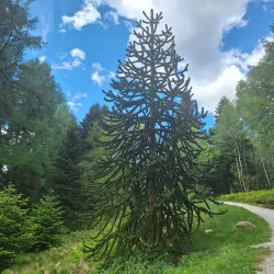 Rogaland Arboretum - Karmøy