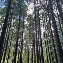 Rogaland Arboretum - Karmøy