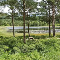Rogaland Arboretum - Karmøy