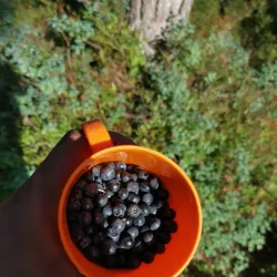 Fjellhamar Nature Reserve - Kolbotn