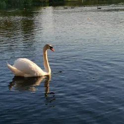 Fjellhamar Nature Reserve - Kolbotn