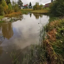 Fjellhamar Nature Reserve - Kolbotn