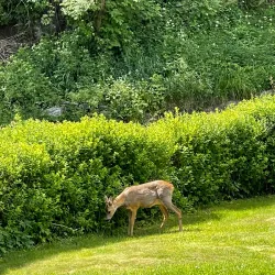 Fjellhamar Nature Reserve - Kolbotn