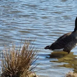 Fjellhamar Nature Reserve - Kolbotn