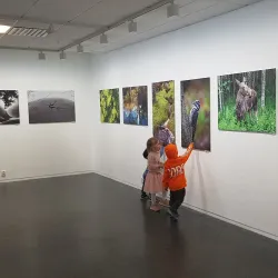 Kolbotn Library - Kolbotn