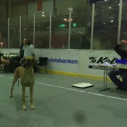 Fjellhallen - Kongsberg