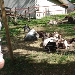 Lågdalsmuseet - Kongsberg