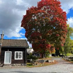 Lågdalsmuseet - Kongsberg