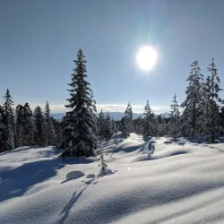Ski and Outdoor Activities at Kongsberg Skisenter - Kongsberg