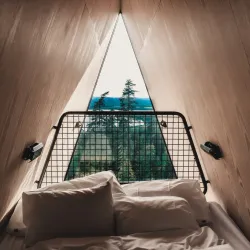 Finnskogen Forest - Kongsvinger