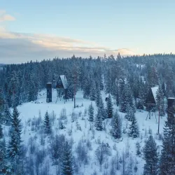 Finnskogen Forest - Kongsvinger